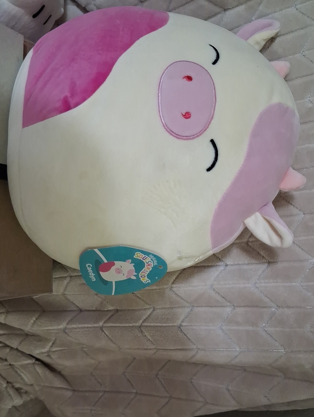 Squishmallow-Caedyn The Cute Pink & Cream Cow.